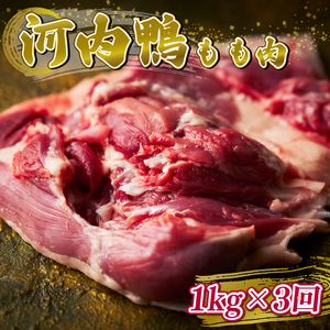 定期便3ヶ月 河内鴨 もも肉 1kg スライス ギフト プレゼント 贈答品 贈答用 お取り寄せ 贈り物 鴨 かも カモ 鴨肉 かも肉 カモ肉 肉 鶏肉 河内鴨 もも肉 美味しい 贈答 お祝い 内祝い 鴨鍋 お鍋 しゃぶしゃぶ すき焼き もも肉 鶏肉 最高級 大阪府 松原市