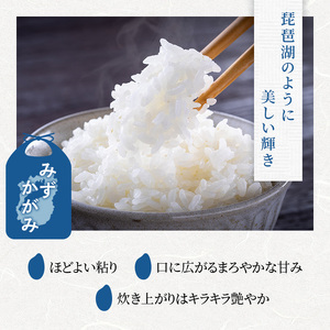 お米 みずかがみ 10kg 精米 定期6回 お米