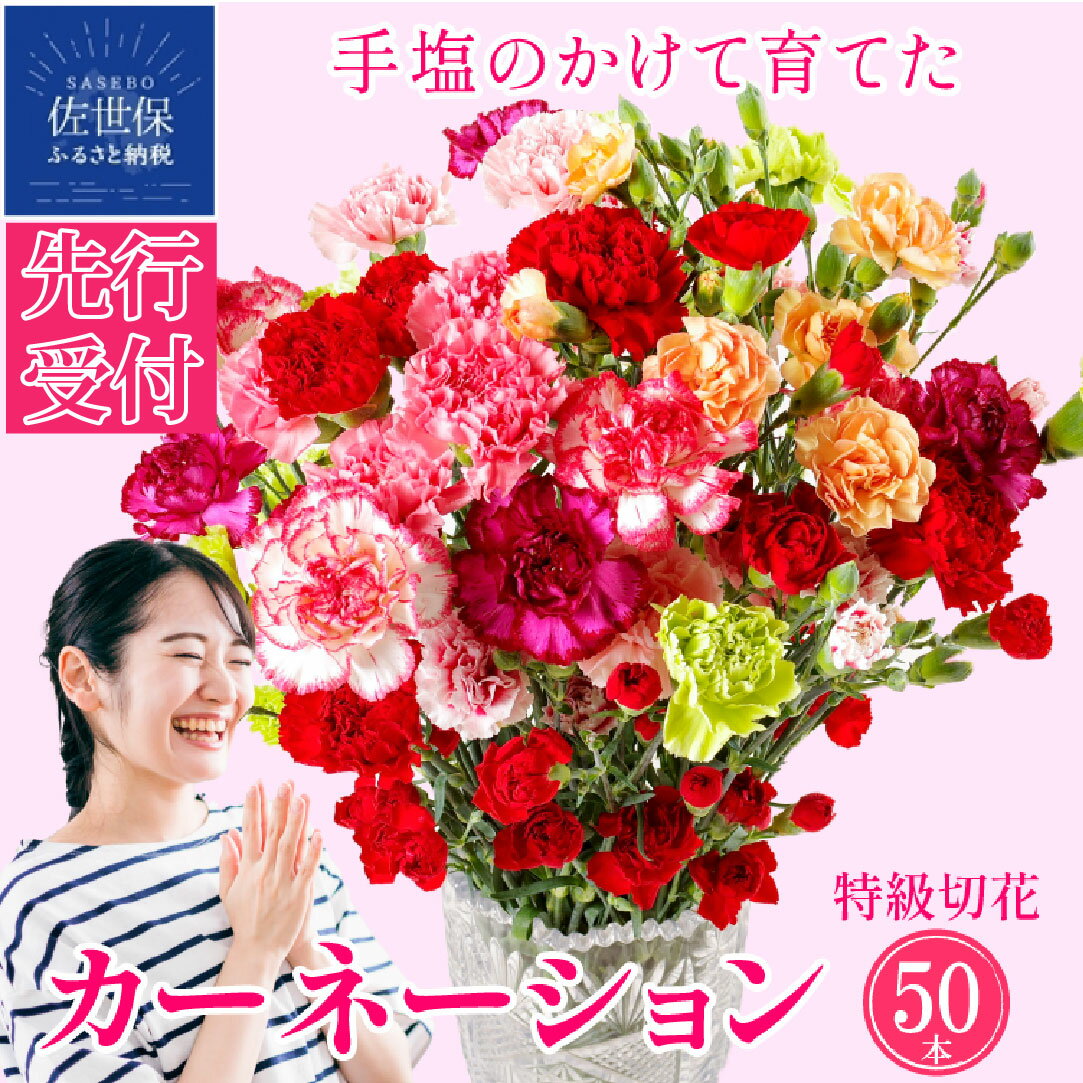 【ふるさと納税】カーネーション 鮮度が自慢 佐世保 産地直送 高級 茎丈 65cm 切り花 50本 箱詰め 花農家直送 花もち 誕生日 誕生日 記念日 出産祝い プレゼント ギフト