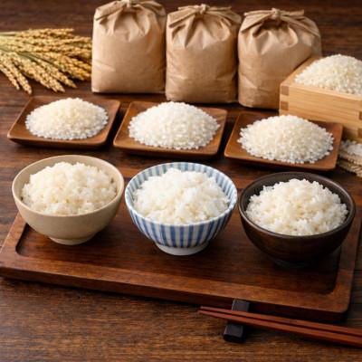 ふるさと納税 与謝野町 令和7年産米　コシヒカリ・ゆうだい21・キヌヒカリ精米5kg×3　銘柄米食べ比べセット　合計15キロ