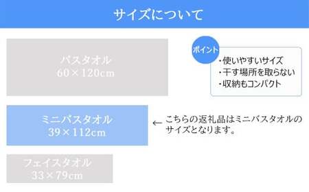 【今治タオル】【Hello!NEW タオル】「速乾」シリーズ 抗菌防臭ミニバスタオル4枚セット （ブラウン＆ベージュ）（ご自宅用）