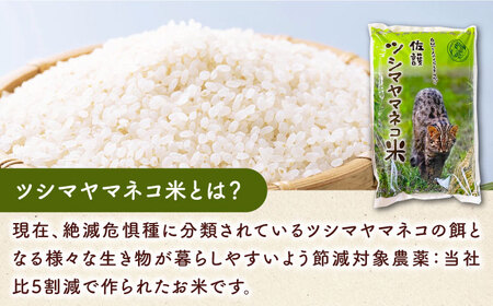 対馬 佐護 ツシマヤマネコ 米 田んぼオーナー1年券【ツシマヤマネコ米30kg付き】（対馬市）【一般社団法人MIT】 米作り体験 田植え 体験 稲刈り 離島 チケット 新米[WAP015]