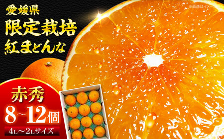紅まどんな （8個-12個 ）【11月下旬から順次発送】紅まどんな みかん[AGBA002]