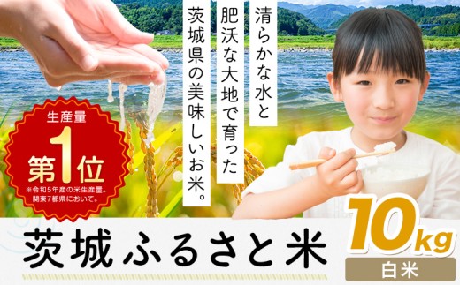 米 茨城 ふるさと米 白米 10kg《1-5日以内に出荷予定(土日祝除く)》茨城県 河内町 米 国産 お米 おこめ お弁当 おにぎり