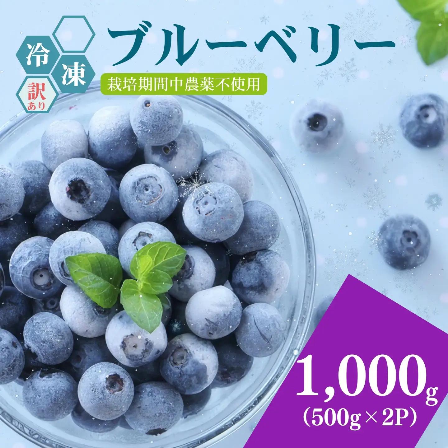[A562-02]【訳あり】冷凍ブルーベリー1000g（500g×2パック）2026年シルクファーム産
