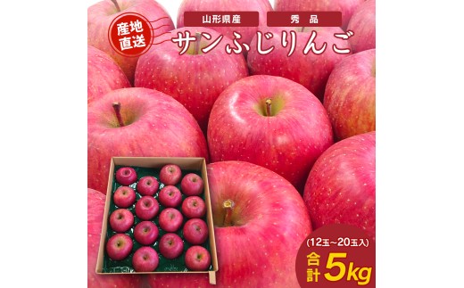《先行予約》 令和8年産 りんご サンふじ 秀品 5kg（12 - 20玉） 山形県産 【2026年11月頃より順次発送予定】2026年産 山形産　015-B-JF002