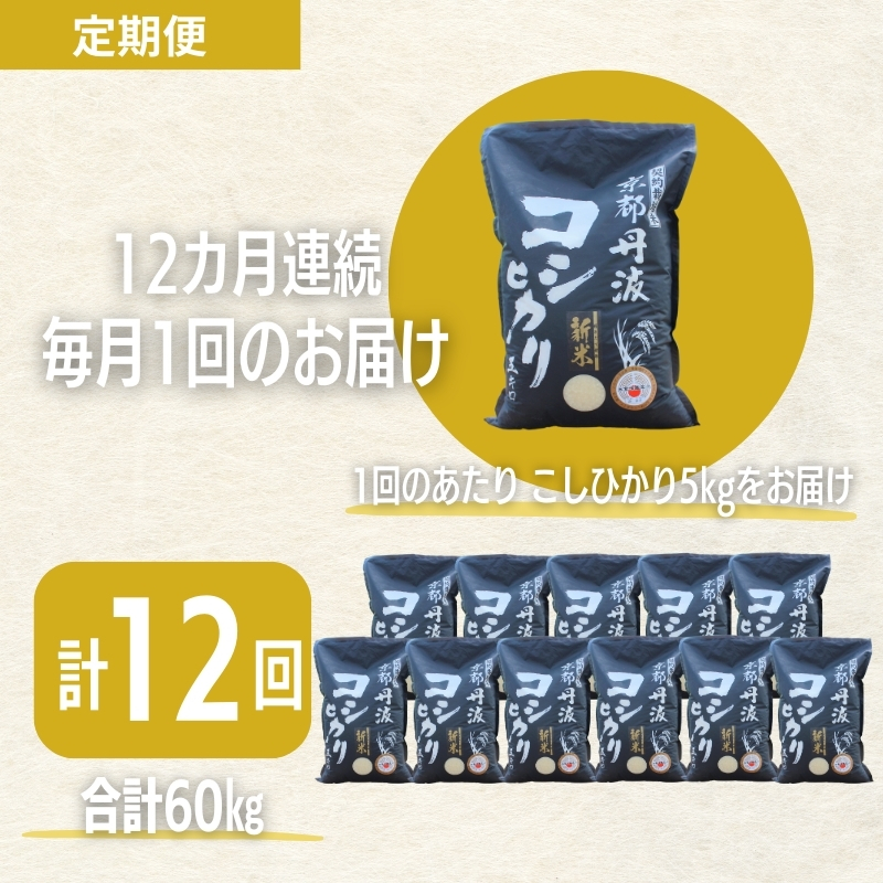 定期便 12ヶ月 令和7年産 こしひかり 京都丹波産 5kg 米 白米 精米 お米 こめ コメ コシヒカリ 精米したて 特A 特A米 令和7年 ご飯 ごはん 12回 1年 お楽しみ 京都 京都府 南丹