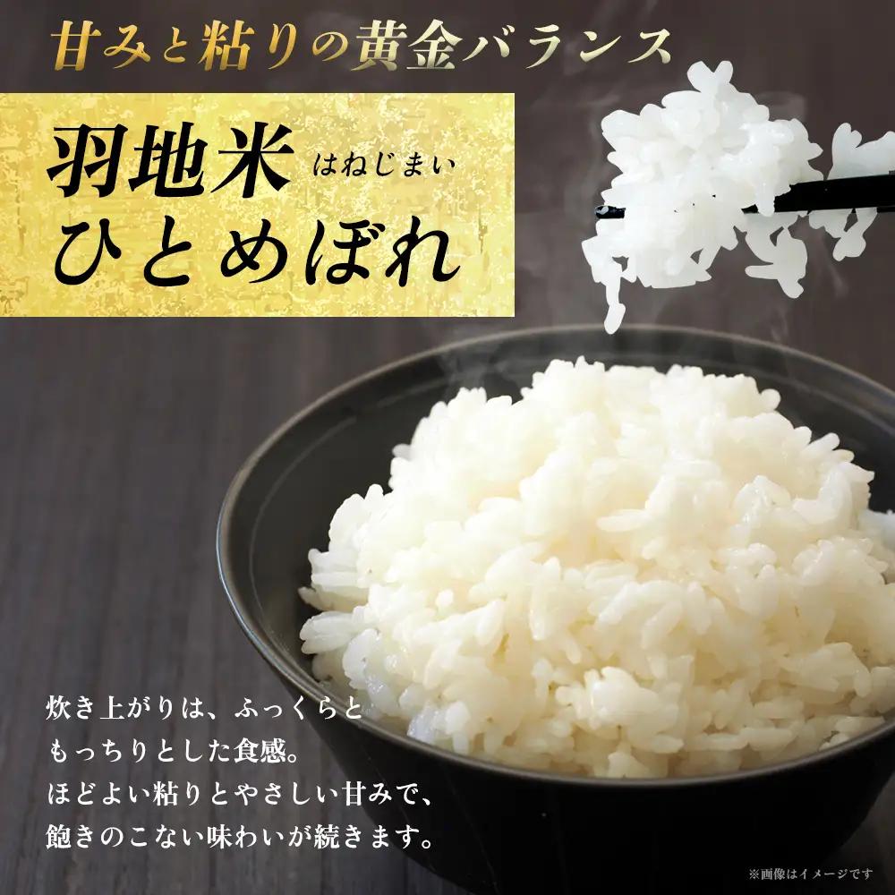 米 沖縄 令和8年産 羽地米(ひとめぼれ) 5kg 名護
