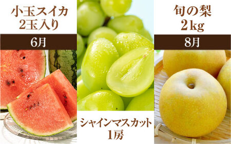 【先行予約】【全10回定期便】 プロが選ぶ！ 旬 の 果物 10ヶ月 定期便【くまふる】[ZBG005]