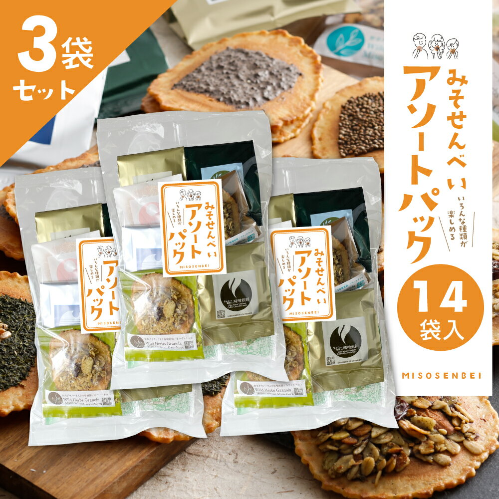 【ふるさと納税】【訳あり】無添加・国産原材料にこだわった味噌煎餅 味噌煎餅アソートセット3袋 飛騨 井之廣製菓舗 お菓子 せんべい 訳アリ わけあり ワケアリ 簡易包装 家庭用 [Q2024]