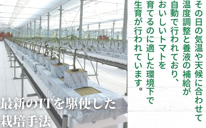 「栗林農園」カラフルミニトマト詰合せ