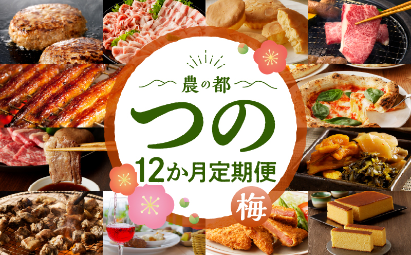 ≪12か月お楽しみ定期便≫都農町定期便(梅) 肉 加工品 デザート 国産_T999-0083