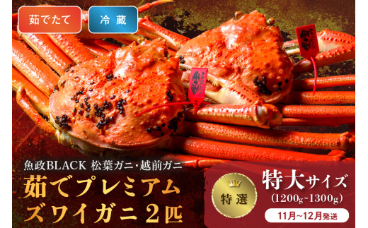 【蟹の匠 魚政】茹で　プレミアムズワイガニ 魚政BLACK（松葉ガニ・越前ガニ）特撰 特大サイズ（1200～1300g） 2匹セット　(11月～12月発送)　松葉蟹 蟹 かに カニ ガニ がに ボイル