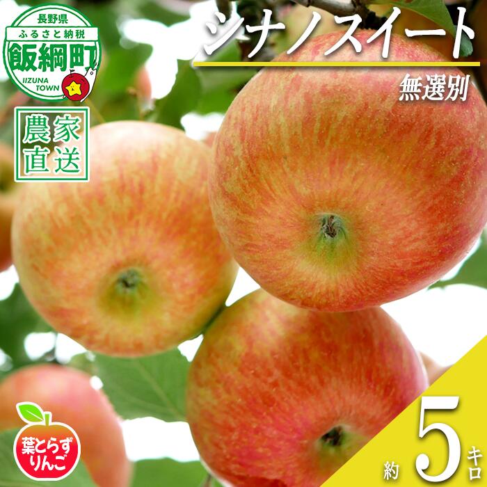 【ふるさと納税】 りんご シナノスイート 葉とらず 無選別 5kg エバラ農園 沖縄県への配送不可 令和8年度収穫分 長野県 飯綱町 〔 信州 果物 フルーツ リンゴ 林檎 長野 18000円 予約 農家直送 〕発送時期：2026年10月中旬〜{**}