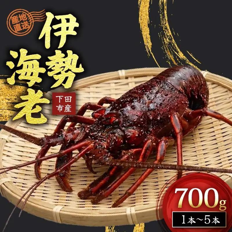 【 伊勢海老 】天然伊勢海老 700g