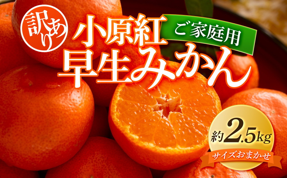 【訳あり】ご家庭用小原紅早生みかん(サイズおまかせ)　約2.5kg【11月下旬～1月下旬配送予定】｜早生ミカン みかん 早生みかん 訳アリ 訳あり 不揃い 家庭用みかん 甘い フルーツ くだもの 果物