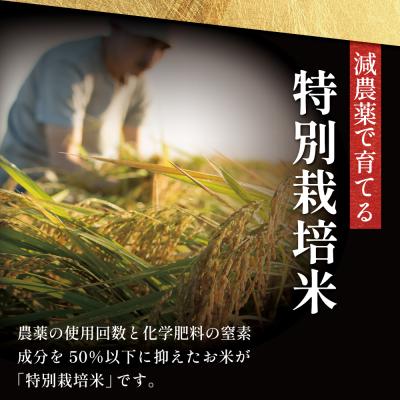 ふるさと納税 南さつま市 【令和8年産 新米】<7月末発送開始> 特別栽培米 金峰コシヒカリ石蔵米5kg×1袋 先行受付 |  | 01