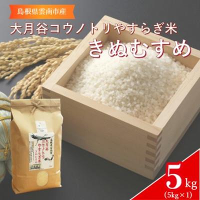 ふるさと納税 雲南市 島根県雲南市「大月谷コウノトリやすらぎ米」きぬむすめ　5kg(5kg×1)