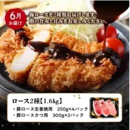 【発送月固定定期便】鹿児島県産 カミチク豚 定期便(南九州市)全4回【配送不可地域：離島】【4081547】