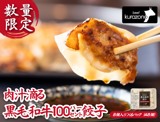 
【モリモリ食べて生産者応援！】倉薗牧場肉汁滴る黒毛和牛100％餃子　6P（48個）
