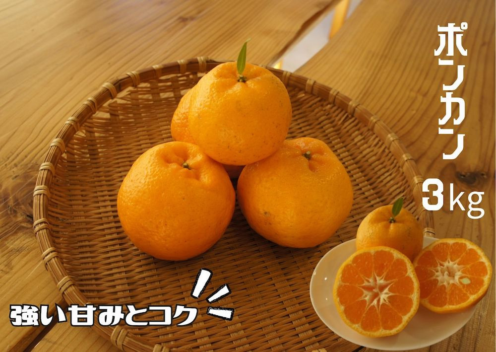 
            【先行予約＿2026年出荷分】湯の花　ポンカン3kg　【 ポンカン みかん 果物 果物 フルーツ 旬 柑橘 甘い 新鮮 伊豆 南伊豆 】　<BC-76>
          