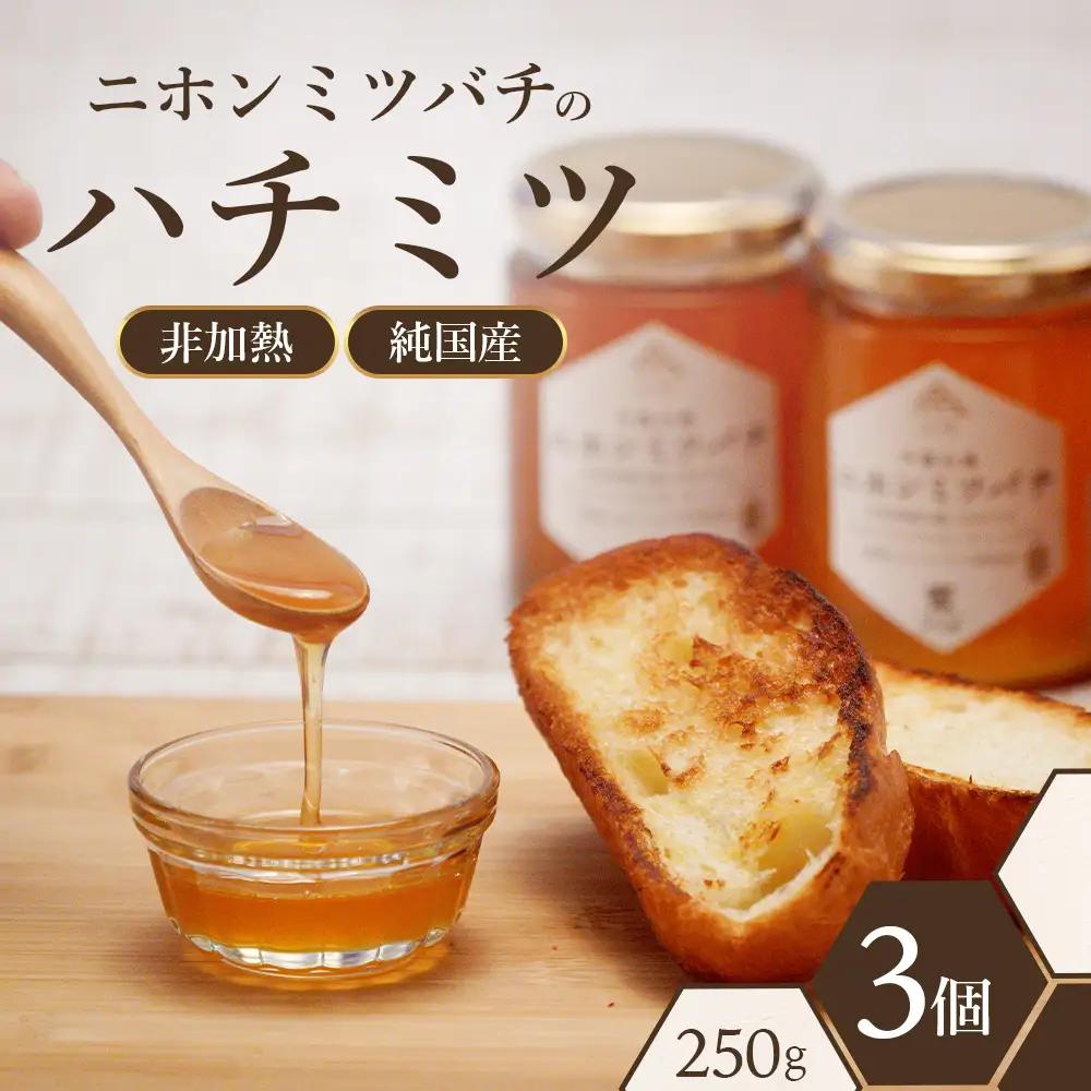 二ホンミツバチのハチミツ 250g×3個 | 合計750g はちみつ 蜂蜜 国産 非加熱 にほんみつばち 日本蜜蜂