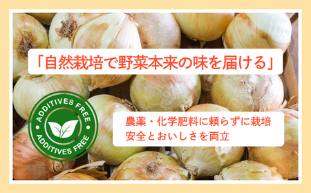 先行予約 新玉ねぎ 約5kg