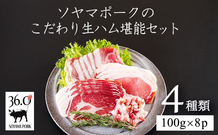 
                  ソヤマポークの生ハム堪能セット[ロース バラ モモ パンチェッタ 肩ロース 熟成 おつまみ パーティー]TF864-P00078
                
