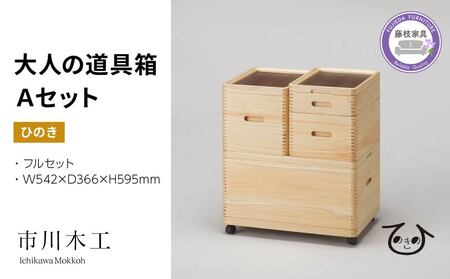 収納 ボックス 大人の道具箱  Aセット 家具 家具