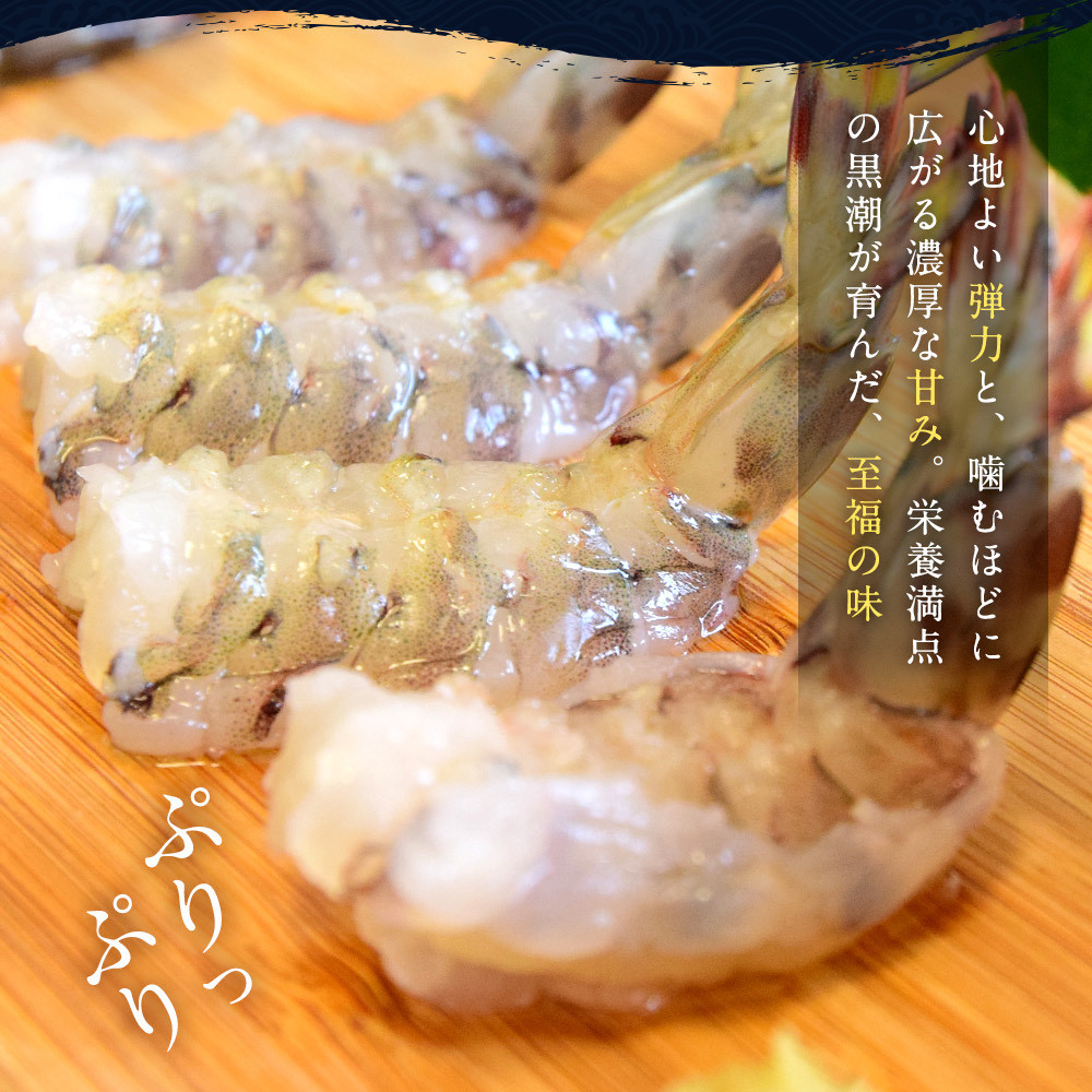 活け締めの急速冷凍なので、解凍後は生食でお寿司にも！