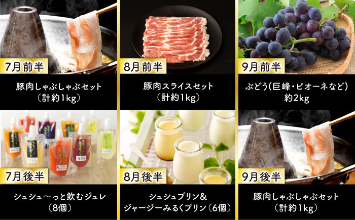 【24回定期便】毎月 2回 お届け！ファーストクラス 定期便（ ハンバーグ 長崎和牛 プリン いちご ジェラート ハムセット 豚肉 ジュレ ぶどう お米 ジュース ）/ 便利な定期便 バラエティ定期便