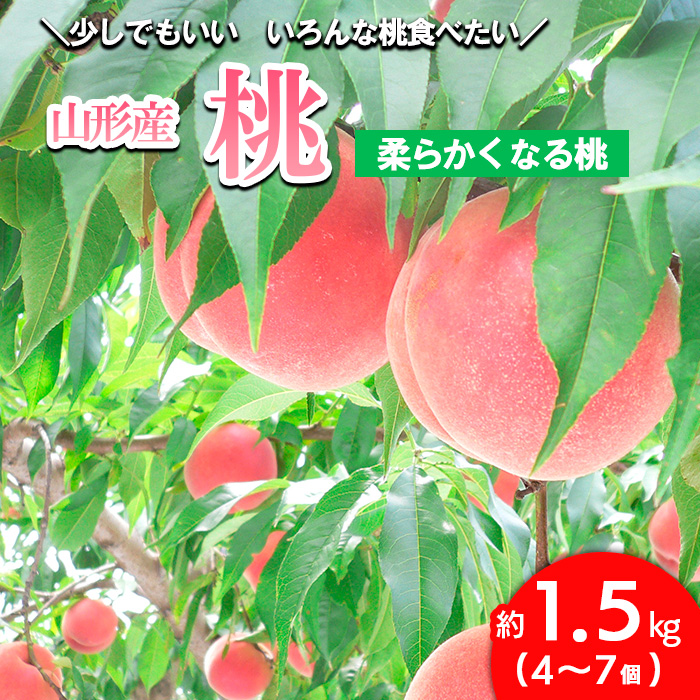 山形の桃 [柔らかめ] 約1.5kg(4～7個) 【令和6年産先行予約】FU23-358 後半品種：黄金桃 だて白桃