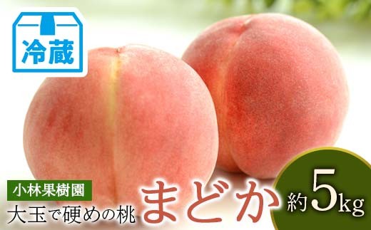 
                  【2026年出荷分先行予約】<冷蔵配送>福島県産 まどか 約5kg (14~20玉) 小林果樹園 大玉 固め 伊達の桃 桃 フルーツ 果物 もも モモ momo F21C-257
                