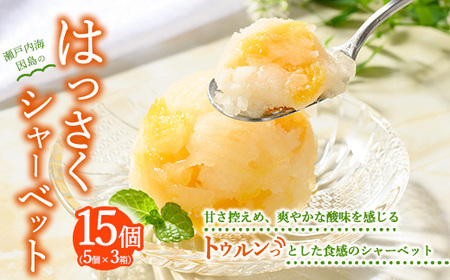 因島のはっさくシャーベット(未凍結）3箱 15個セット（1箱75g×5個入）