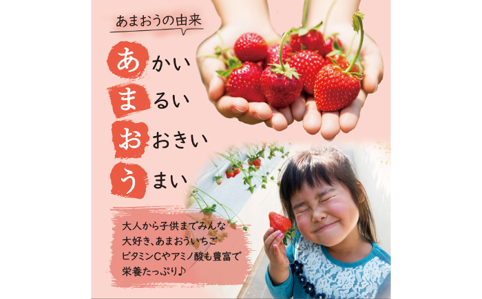 【先行受付】あまおう いちご 1,620g (約270g×6パック)  【2027年3月初旬以降順次発送】 糸島市 / 株式会社HSP-テクノ [AZL002] ブランド いちご あまおう 数量限定 