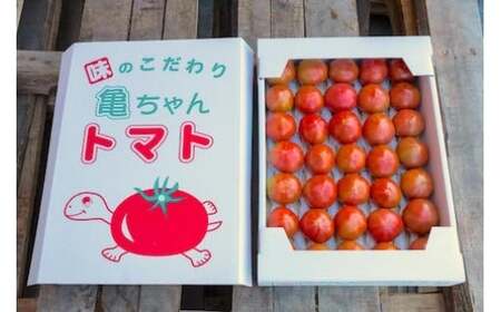 【2026年1月中旬発送開始】 亀ちゃんトマト味特 約3kg
