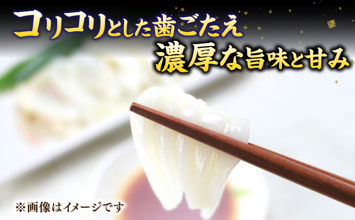 【年内発送】旬のイカ刺身1kg前後《壱岐市》【馬渡水産】イカ いか 烏賊 剣先 アオリ あおり スルメ するめ 刺身 刺し身 お刺身 海鮮 魚貝 冷凍配送 産地直送 [JAQ027]