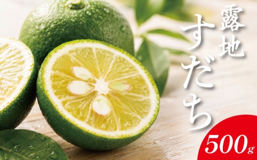 露地すだち 500g すだち 【8月中旬から9月末発送】  徳島県産 スダチ 酢橘 ゆず レモン の代わりに 焼き魚 さんま かつお 刺身 唐揚げ そうめん お酒 に最適 徳島県 神山町 5000円 以内