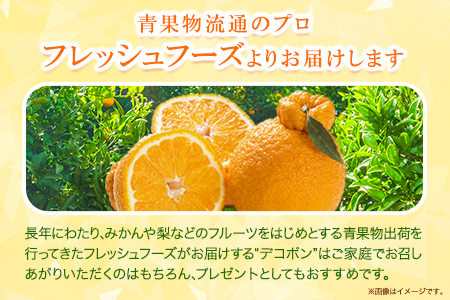 デコポン 約3kg 不知火 フレッシュフーズ デコポン