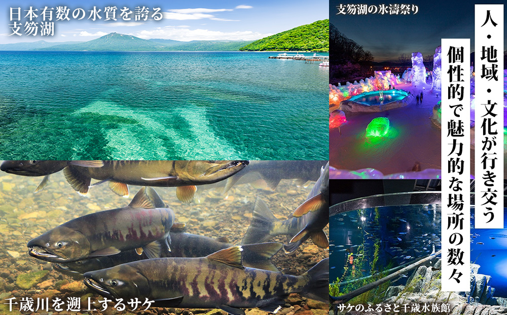 北海道 千歳市 旅行クーポン 900,000円分