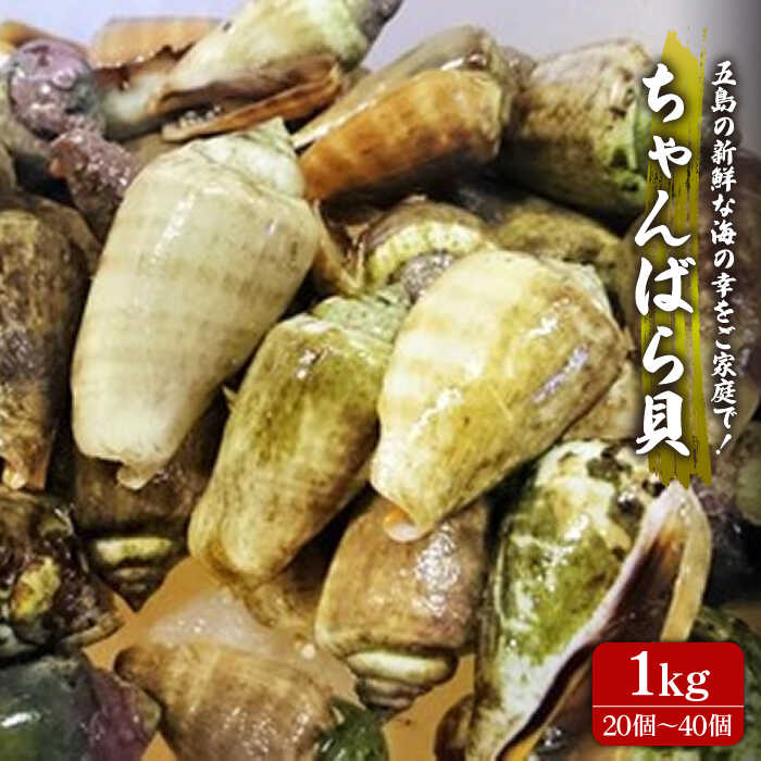 【ふるさと納税】【五島の特産品ちゃんばら貝】今晩のおつまみに！マガキガイ1kg / 新鮮【五島FF】[PBJ014]