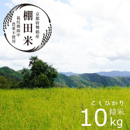 【新米】 棚田米 10kg 精米 ： コシヒカリ 栽培期間中農薬不使用 京都産 お米 農家直送 こしひかり 米 ご飯 白米 無農薬 栽培 棚田 無農薬米 おいいしお米 無農薬コシヒカリ 無農薬こしひか
