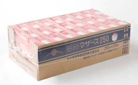 いちごミルク 250ml×24本 1ケース 紙パック 常温保存可能