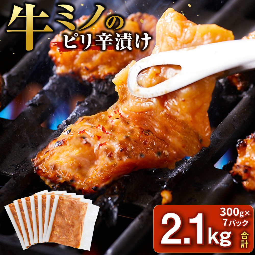 牛ミノ ピリ辛漬け 2.1kg ( 300g × 7パック ) 小分け 個包装 便利 牛肉 ホルモン ミノ 焼肉 焼き肉 お肉 肉 焼くだけ 冷凍 たれ 味付き BBQ アウトドア キャンプ 人気 おすすめ 神奈川 川崎【順次発送】【kw0096-0926】