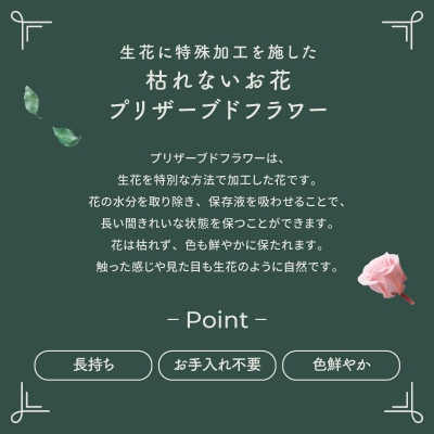 プリザーブドフラワーアレンジ 【プティ カーネーション(グリーン)】【1752066】