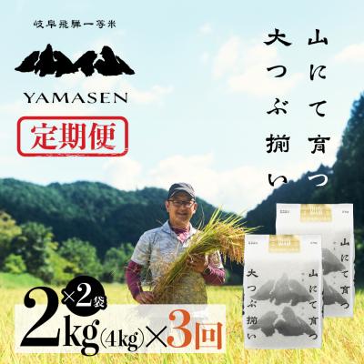 ふるさと納税 下呂市 【令和7年産】【定期便】山仙(いのちの壱)2kg×2袋×3回 すがたらいす【51-P】