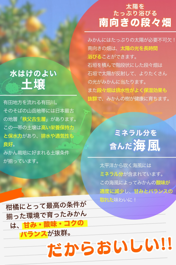 【2025年1月発送】【家庭用】こだわりの有田みかん 約2.5kg＋75g(傷み補償分)   ※北海道・沖縄・離島配送不可 有田みかん 温州みかん 柑橘【nuk159-3A】