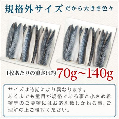 ふるさと納税 銚子市 訳あり 骨取り有塩さば 1kg |  | 02