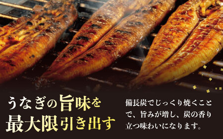 鰻のかば焼き1尾 / 大村市 / お料理やまうえ[ACZL002]