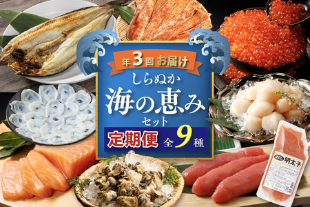 しらぬか海の恵みセット'24-'25【年3回定期便】_I050-1238